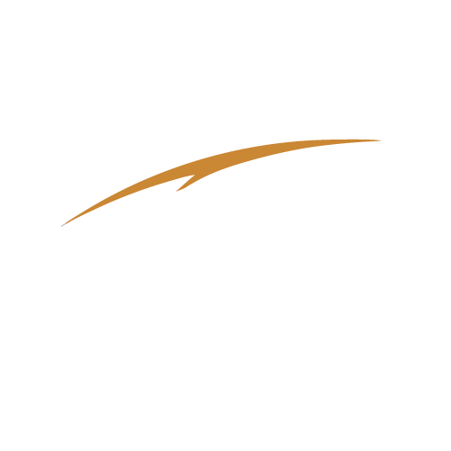 Finansal Kuruluşlar Kurumsal Finansman & Yatırım Hukuk, Vergi ve Denetim Operasyonel & Stratejik &Ccedil;&ouml;z&uuml;mler